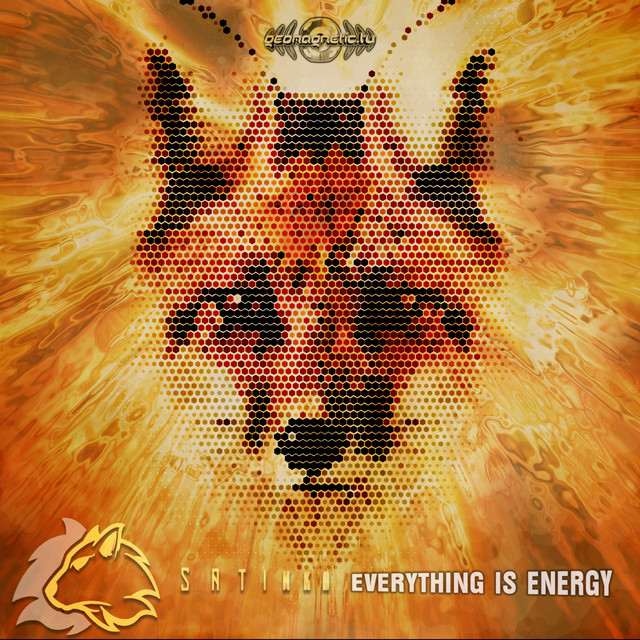 Everything is Energy cover
