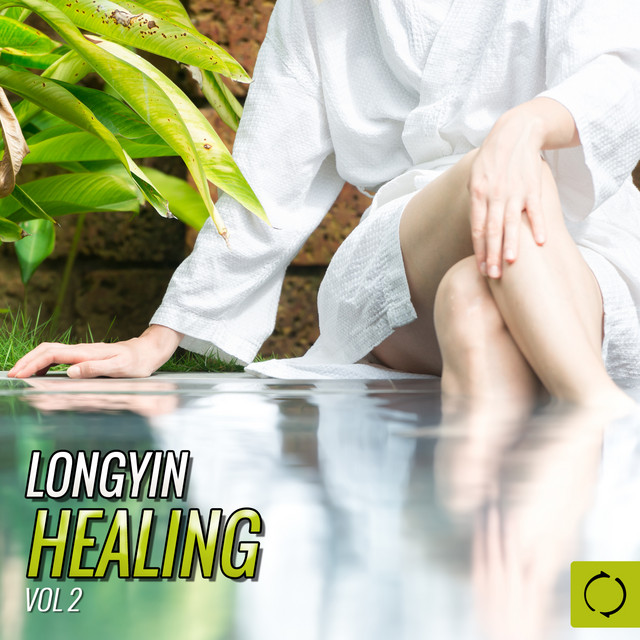 Longyin Healing, Vol. 2 cover art