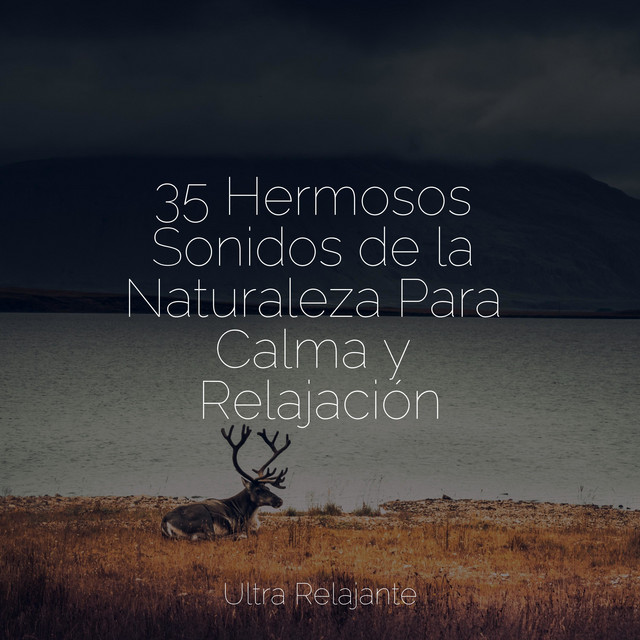 35 Hermosos Sonidos de la Naturaleza Para Calma y Relajación - Album by ...