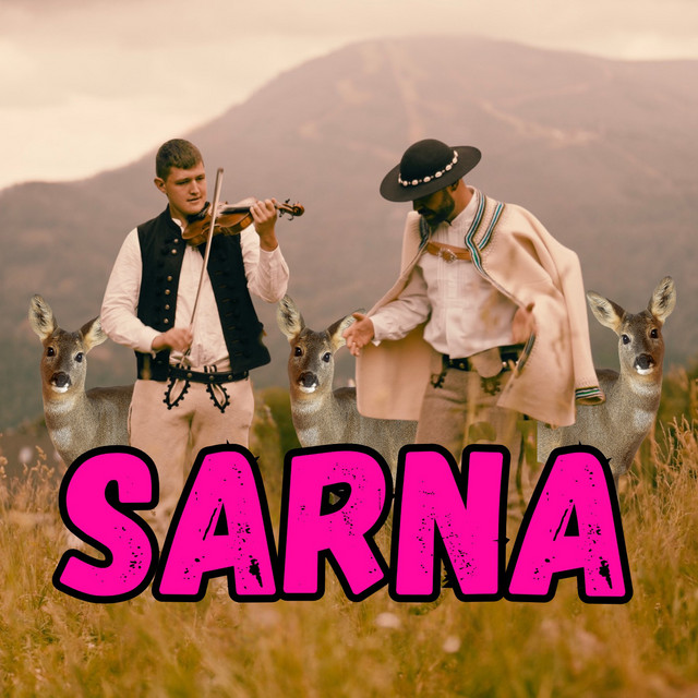 SARNA cover art