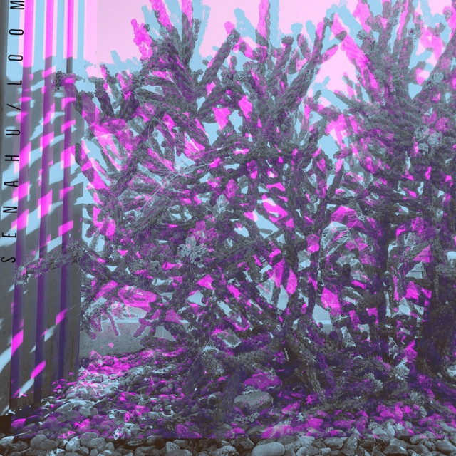 loom (single)