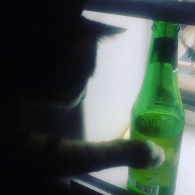 Beer cover art