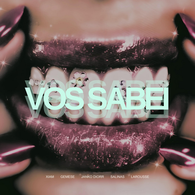 Vos Sabei (feat. Salinas, Larousse)
