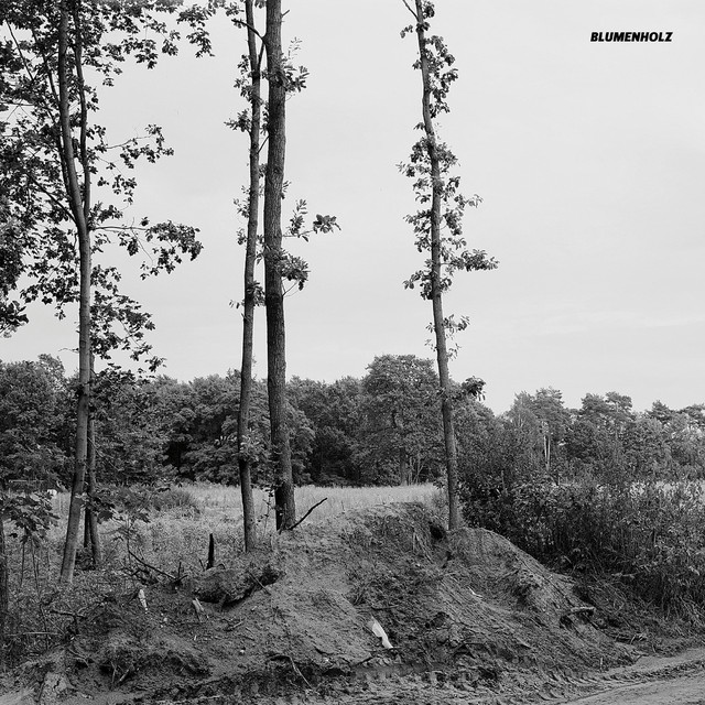Blumenholz cover art