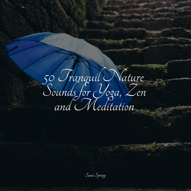 50 Tranquil Nature Sounds for Yoga, Zen and Meditation - Album by Baby ...