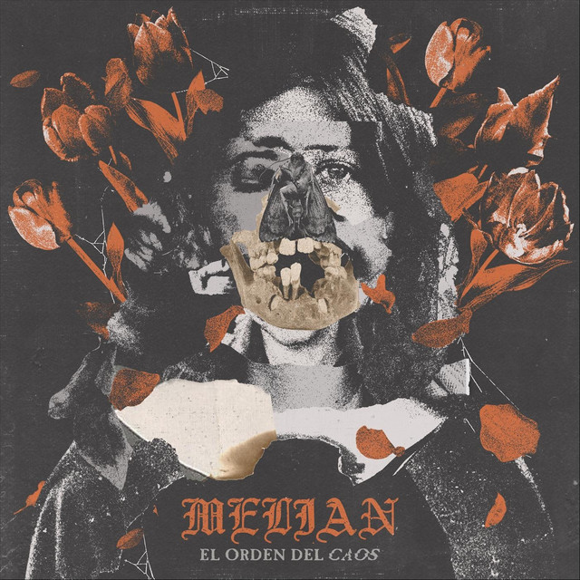 El Orden del Caos cover art