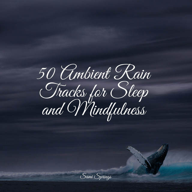 50 Ambient Rain Tracks for Sleep and Mindfulness - Album by 125 Nature ...