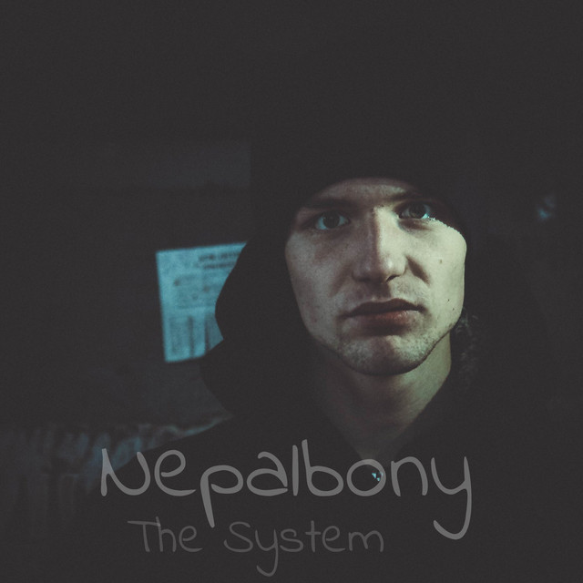 Cover art: The System — Nepalbony