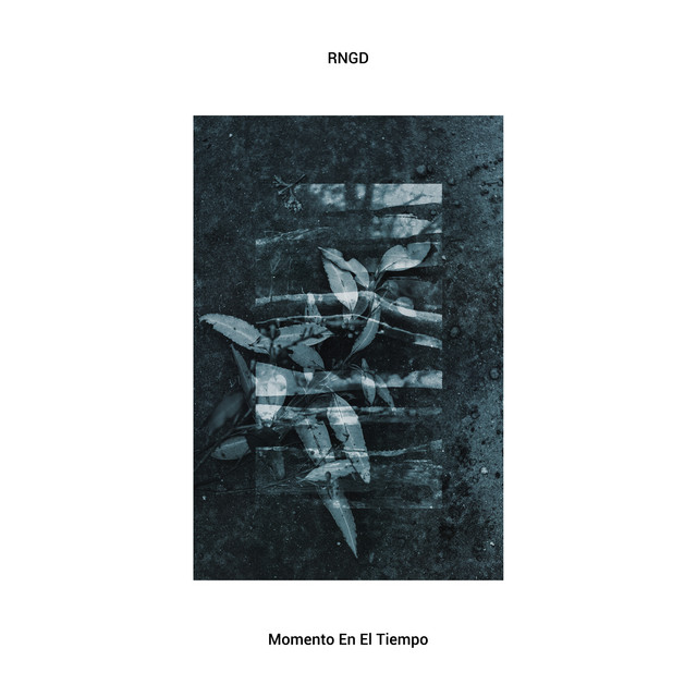 41004 album art