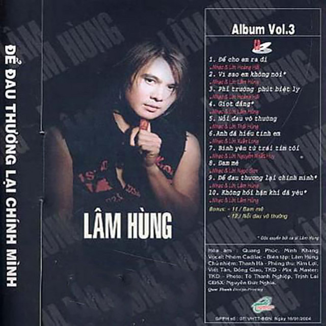 Để Đau Thương Lại Chính Mình cover art