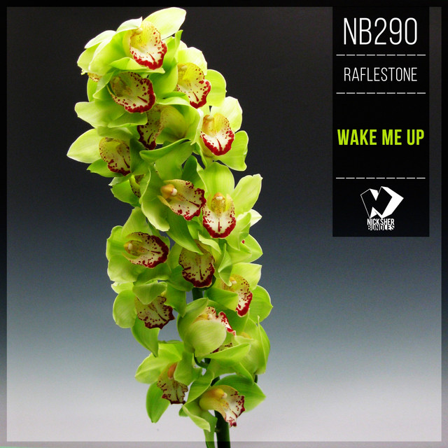 Wake Me Up cover art