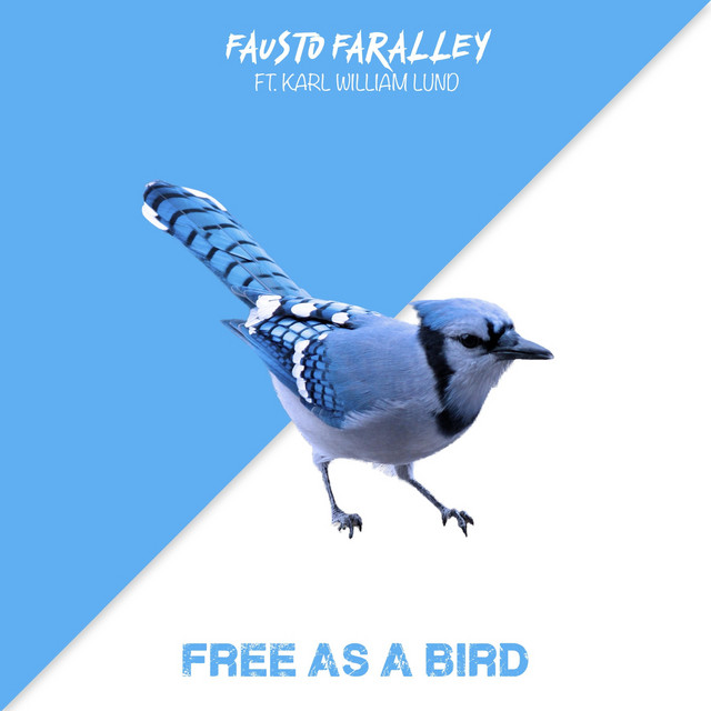 Free As A Bird Single By Fausto Faralley Spotify