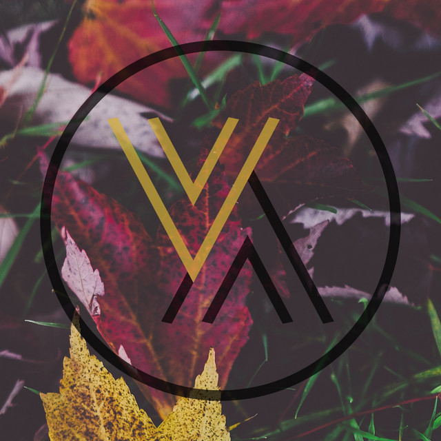 Ab67616d0000b273008b9341cf61fbf287cd2e17