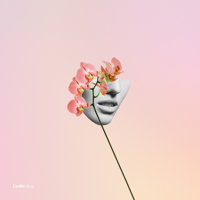 Ambre cover art