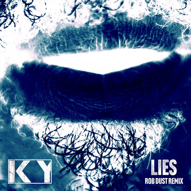 Lies - Rob Dust Remix