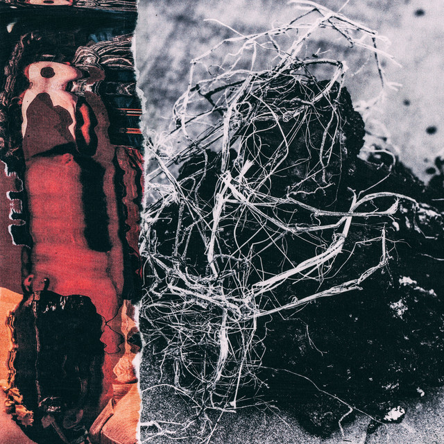 WHERE TO BEGIN cover art