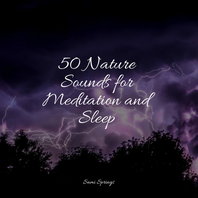50 Nature Sounds for Meditation and Sleep - Album by Fresh Water Sounds ...