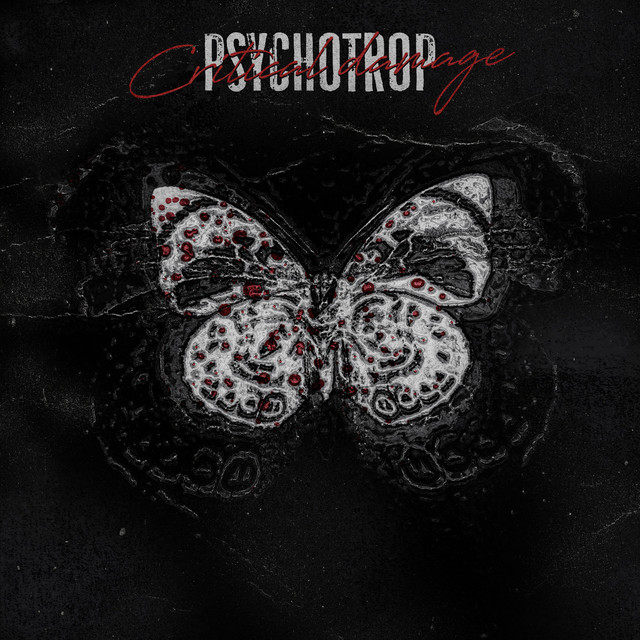Critical Damage cover