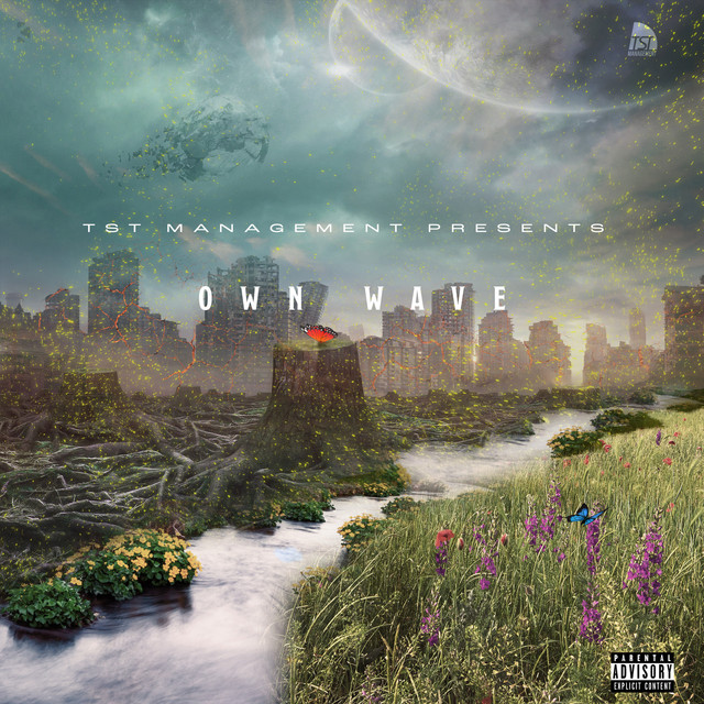 Own Wave cover art
