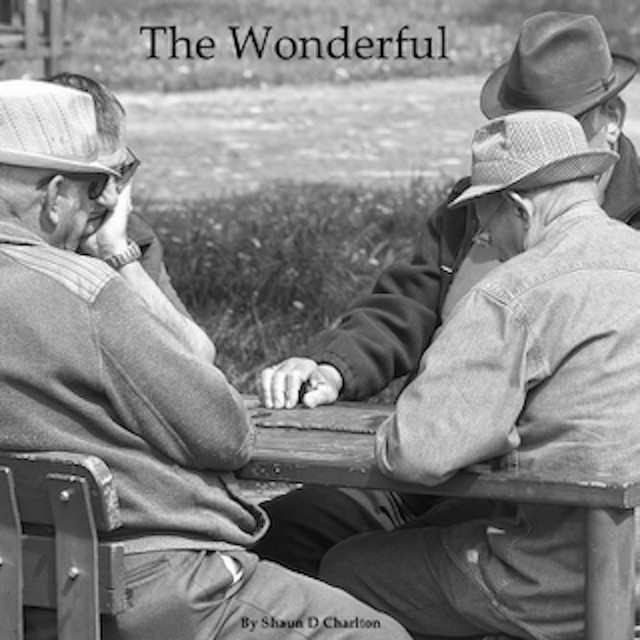The Wonderful
