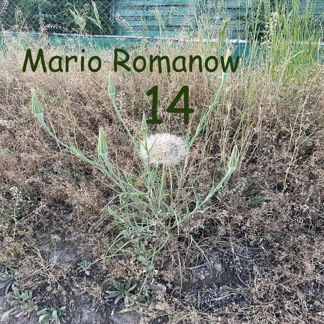 14 cover