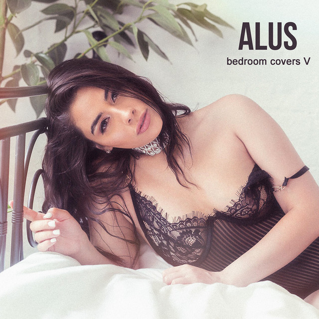 Bedroom Covers V cover art
