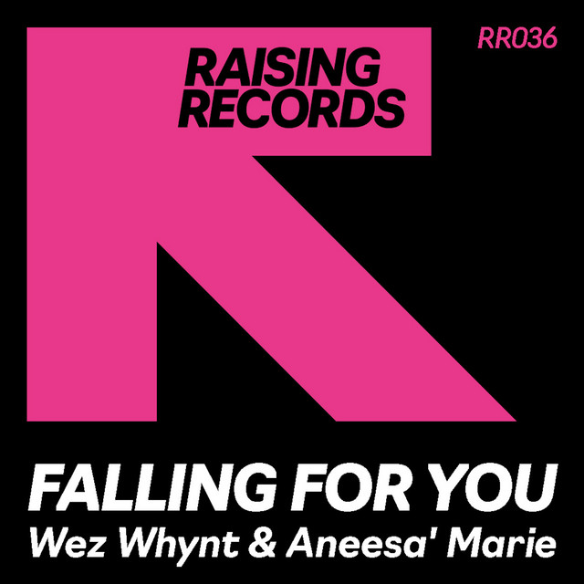 Falling For You - Original Mix