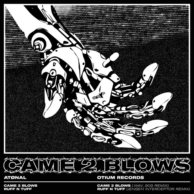 CAME 2 BLOWS cover art