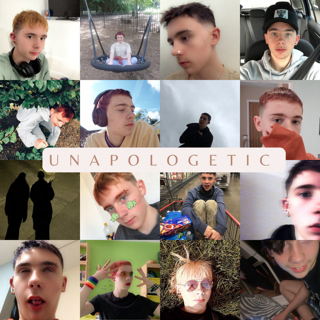 Unapologetic cover art