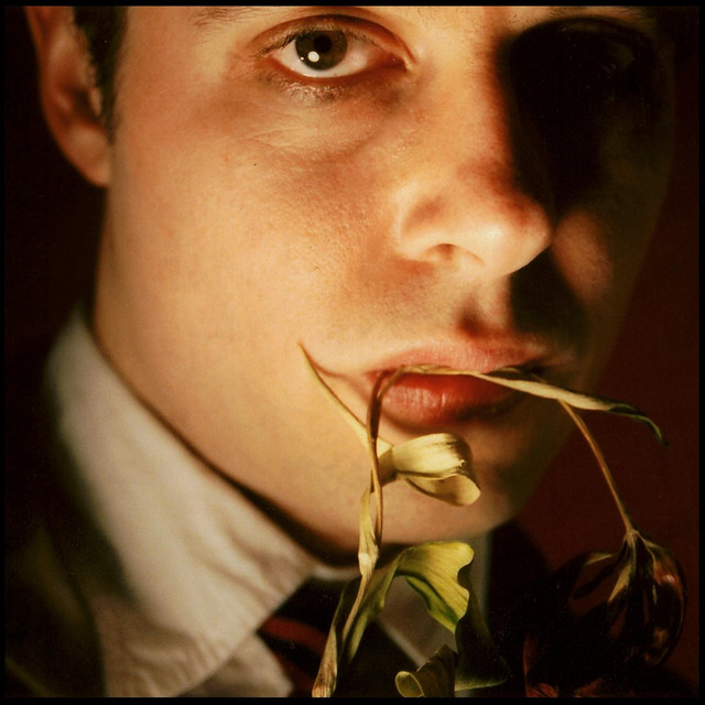 Julian Tulip's Licorice