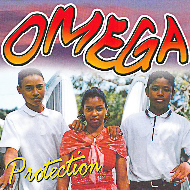 Protection cover art