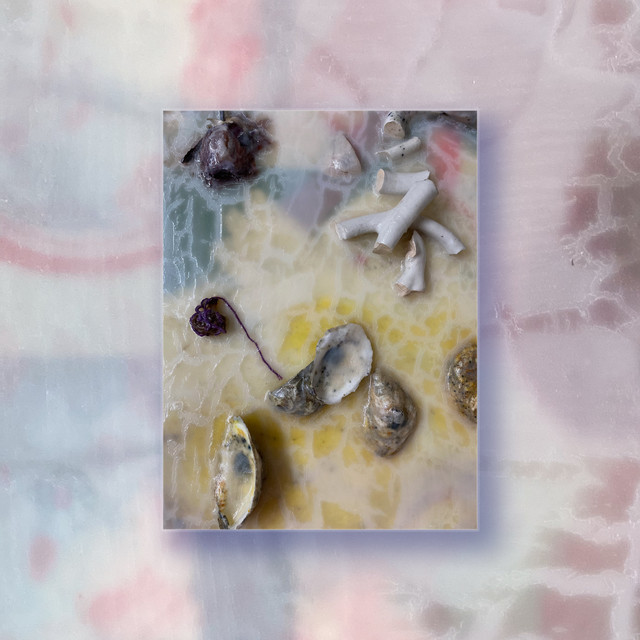Audience of Summer cover art