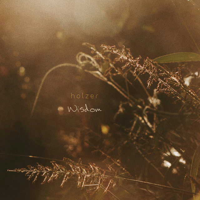 Wisdom cover art