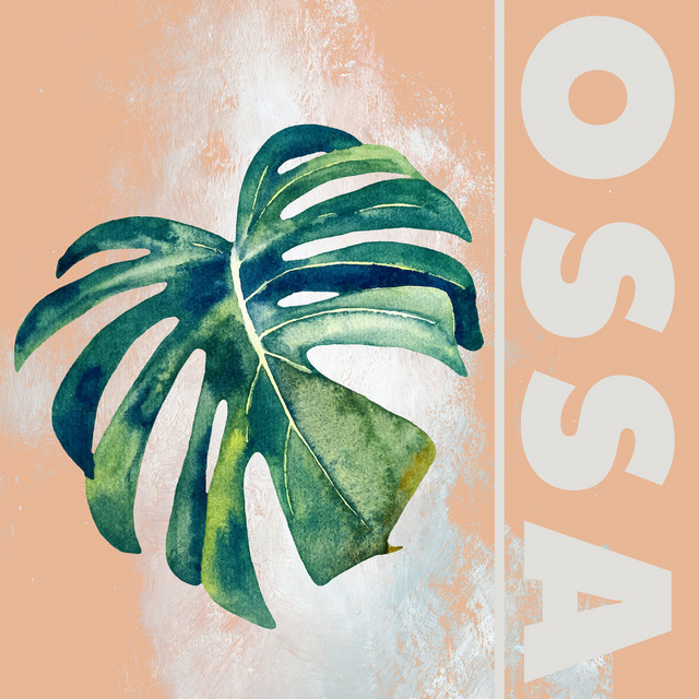OSSA cover art