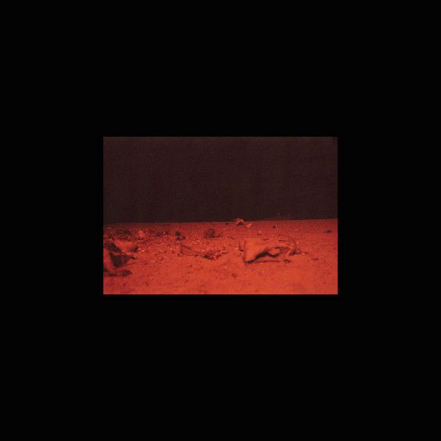 Oxen II cover art