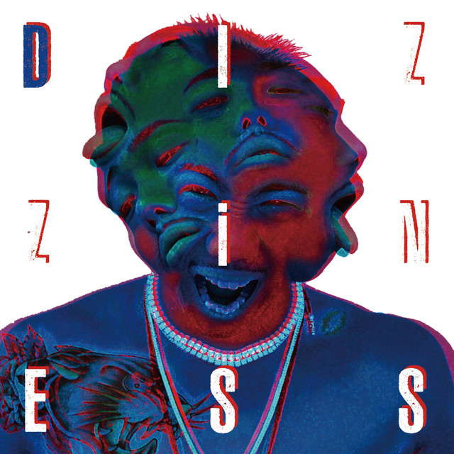 DIZZiNESS cover art