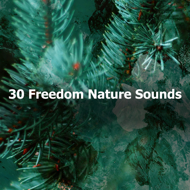 30 Freedom Nature Sounds - Album by Deep Sleep Nature Sounds | Spotify