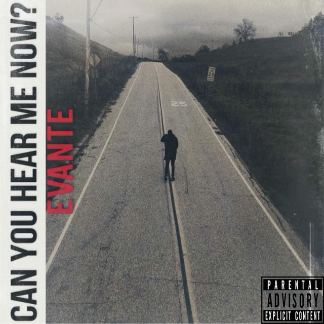 Can You Hear Me Now? cover art