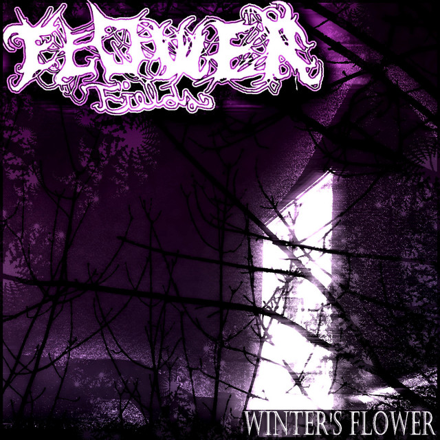 Winter's Flower cover
