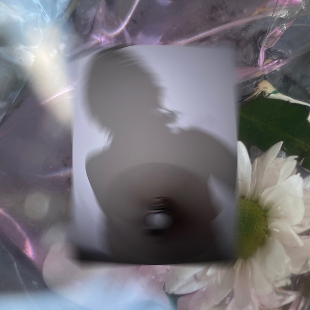Soften cover art