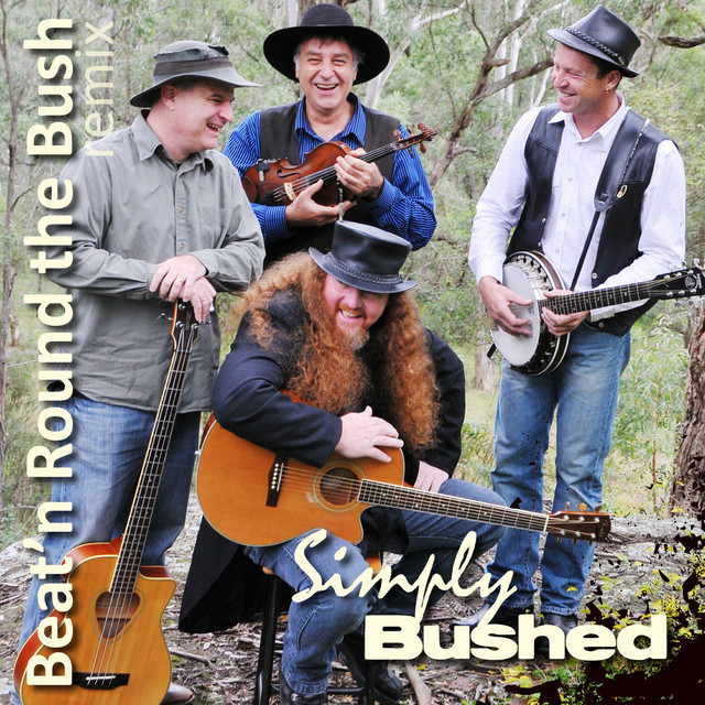 Beat'n Round the Bush (Remix) cover