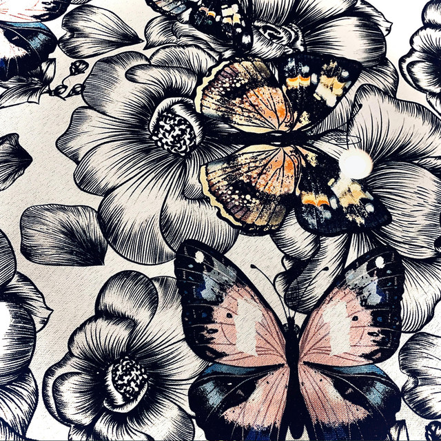 Proof in a Butterfly cover art