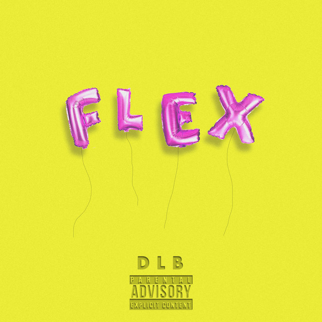 FLEX cover art