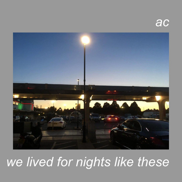 We Lived for Nights Like These cover art