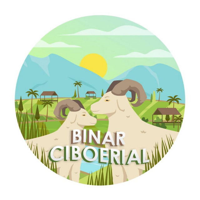 Binar ciboerial