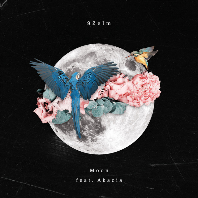 Moon cover art