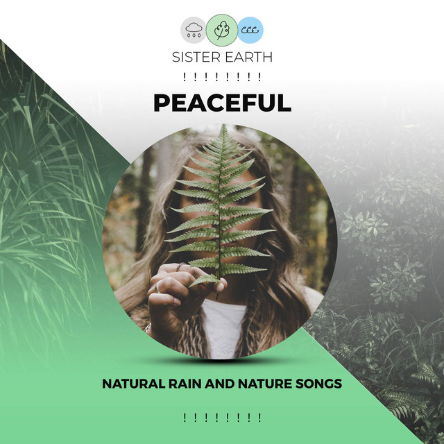 Peaceful Natural Rain and Nature Songs ! ! ! ! ! ! ! ! - Album by Soothing
