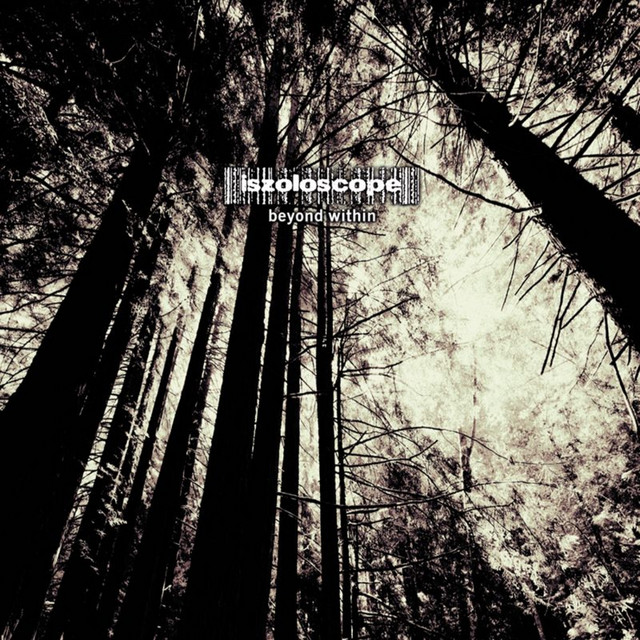 Beyond Within cover