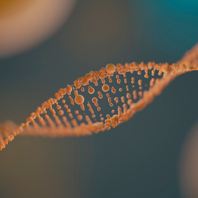 Cell & DNA Regeneration