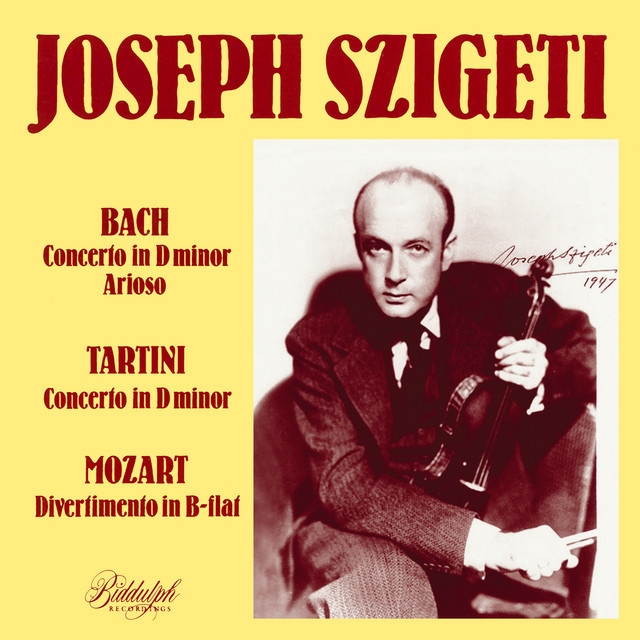 Violin Concerto in D Minor, BWV 1052: I. Allegro